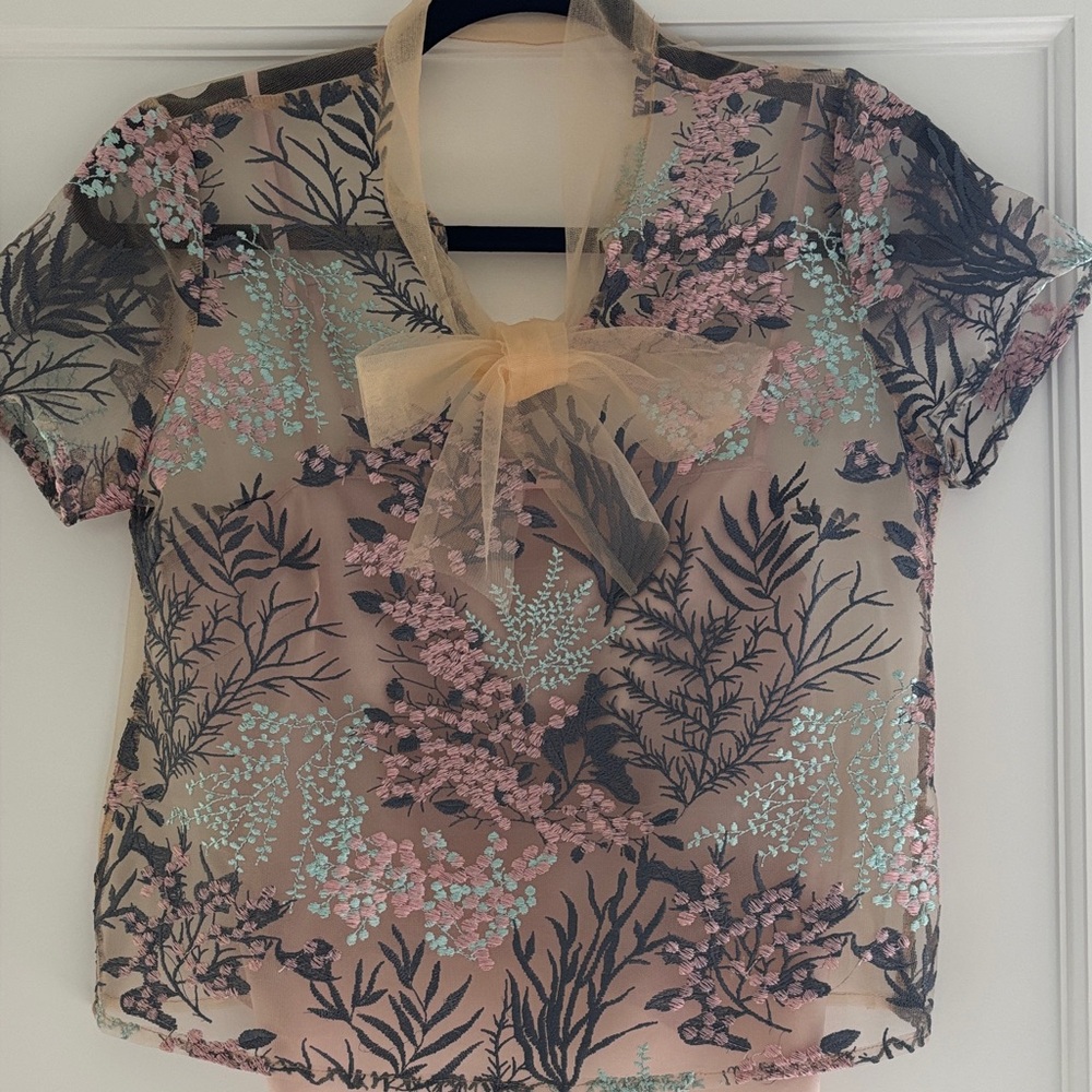 Floral Embroidered Sheer Top